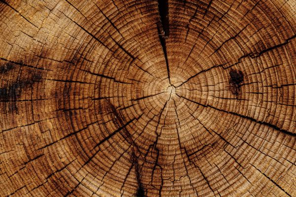 Website, web design, homepage, template, craftsman, carpenter